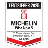 Michelin Pilot Alpin 5 255/40 R19 100V