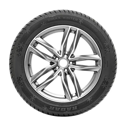 Radar Dimax Winter 205/65 R16 95H