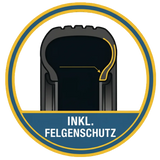 Felgenschutz