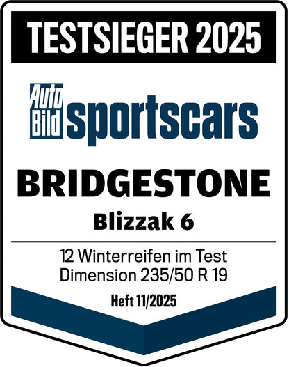 Bridgestone Blizzak 6 285/45 R22 114W