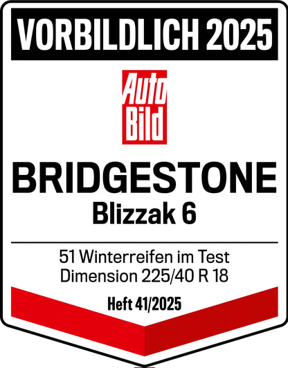 Bridgestone Blizzak 6 285/45 R22 114W
