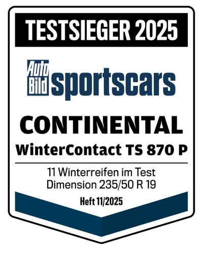 Continental WinterContact TS 870 P Reifen – Testergebnis 2