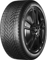 Dunlop Winter 195/65 R15 91H