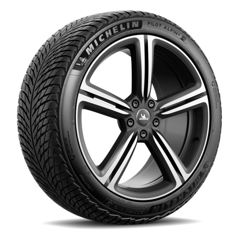 Michelin Pilot Alpin 5 315/30 R21 105V